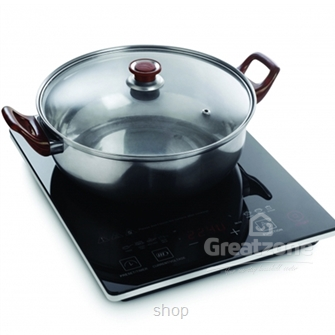 Pensonic Induction Cooker