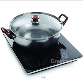 Pensonic Induction Cooker