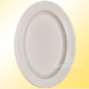 Oval Plate 14"
